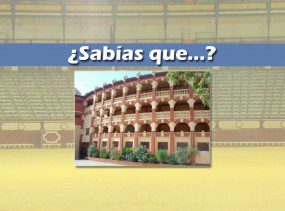 sabiasquetoros15
