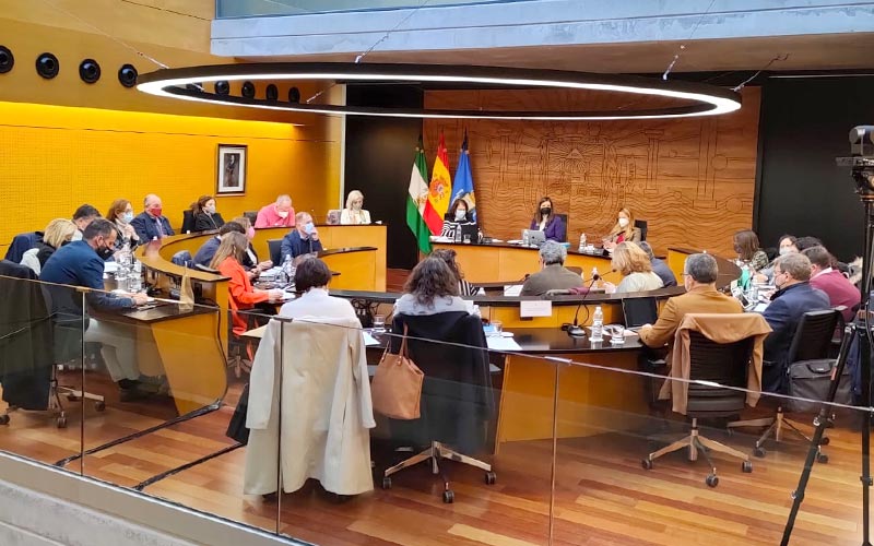 Toda la oposición impugna el presupuesto “electoralista” de 2022 del Ayuntamiento de San Fernando, aprobado con los votos de PSOE-Cs
