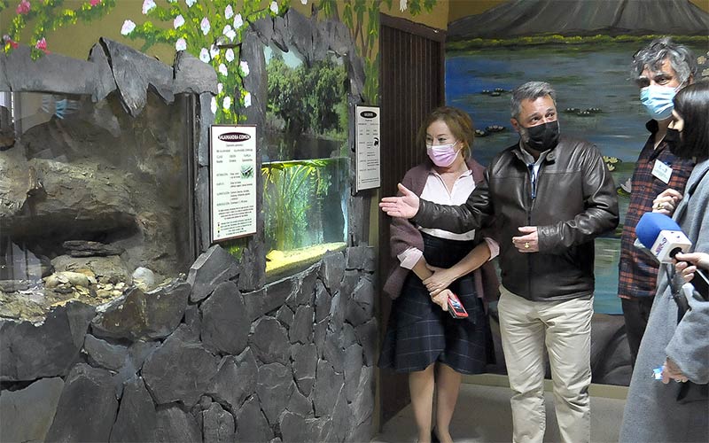 El Zoobotánico de Jerez inaugura un espacio centrado en “valorar y proteger” a reptiles y anfibios, coincidiendo con su 69 aniversario