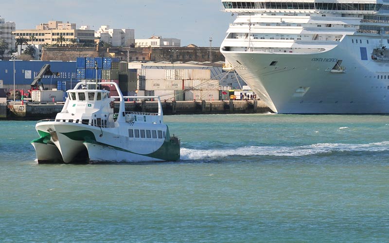 Uno de los catamaranes saliendo del puerto de Cádiz / FOTO: Eulogio García