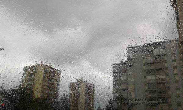 vinetasalguero48foto