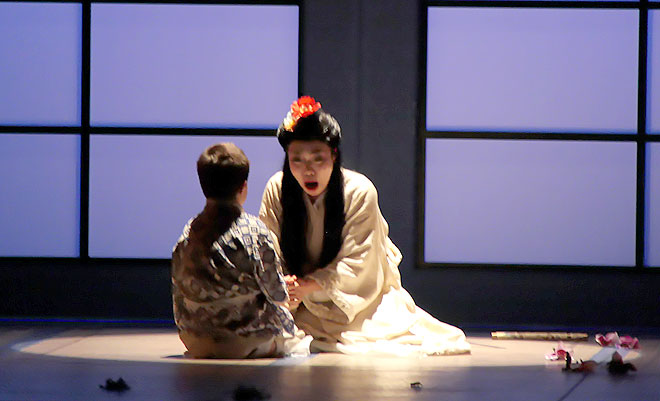 operabutterflycadnov15-4peq