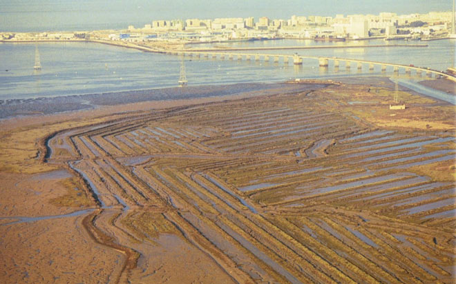 La antigua salina sin uso desde hace años, a vista de pájaro