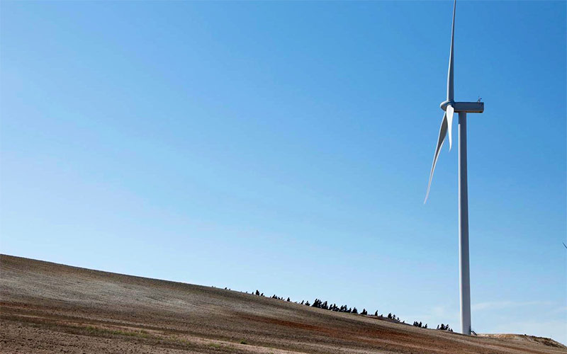 Uno de tantos aerogeneradores, en Puerto Real, que va poblando el territorio