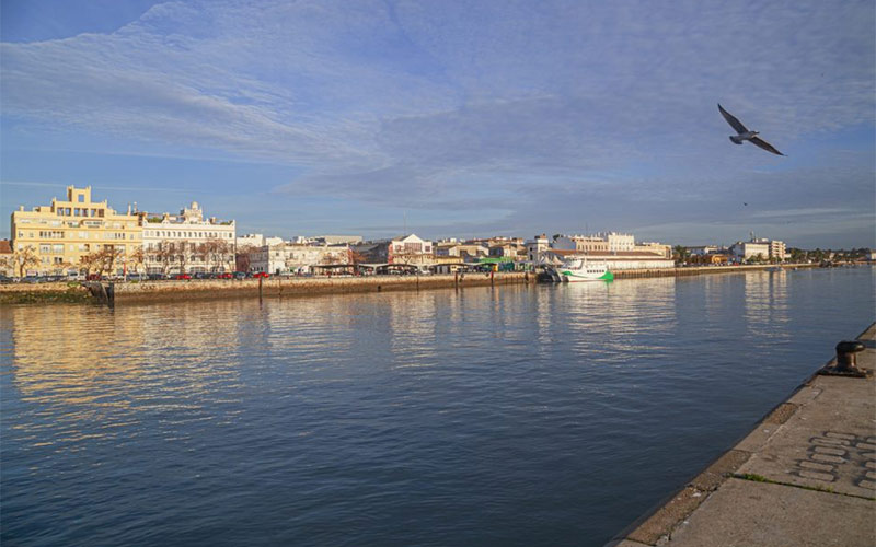 Vista al centro desde la otra orilla del río / FOTO: Ayto.