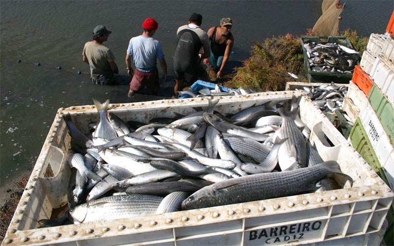 Trabajando en esteros de la Bahía / FOTO: cedida