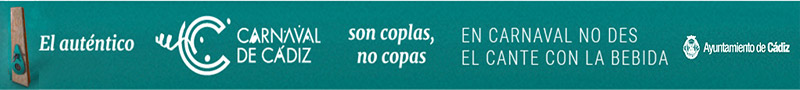 BANNER CARNAVAL 20 medio