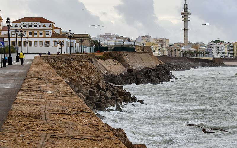 Detalle de las deterioradas murallas del Campo del Sur / FOTO: Eulogio García