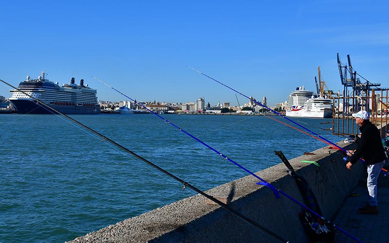 El Puerto gaditano desde la Punta de San Felipe / FOTO: Eulogio García