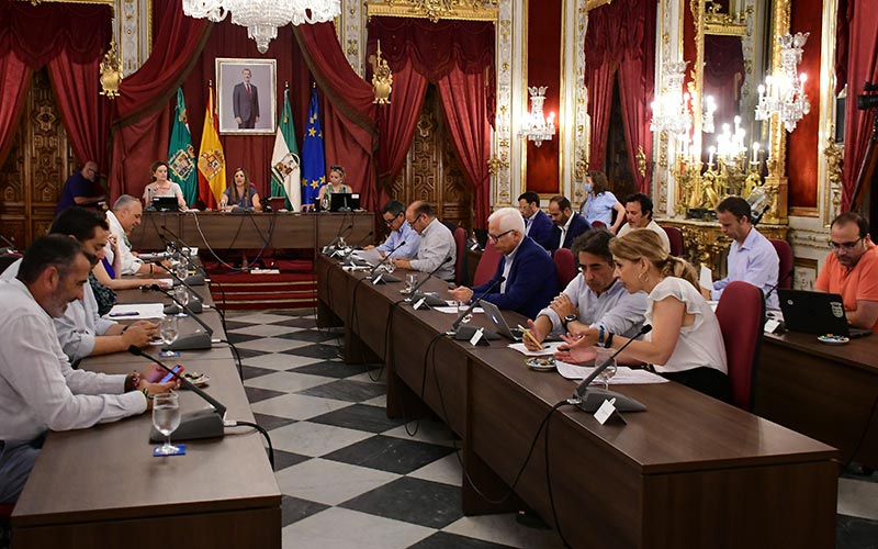 Un momento de la sesión plenaria de junio / FOTO: Eulogio García