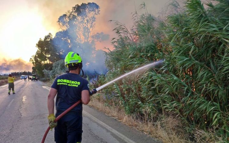 Actuando sobre el fuego el pasado verano en Jerez / FOTO: CBPC