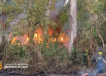 Atacando el fuego ya extendido / FOTO: CBPC