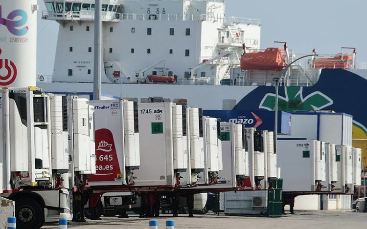 Camiones esperando para embarcar en el muelle gaditano / FOTO: Eulogio García