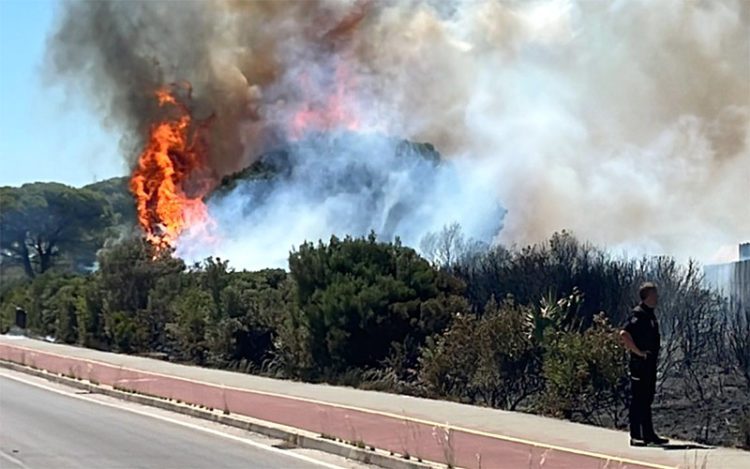 Uno de los focos del fuego / FOTO: UCA