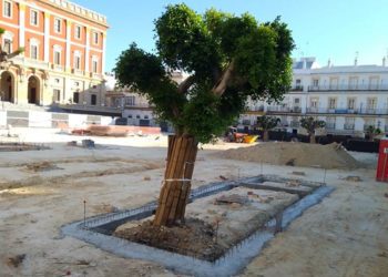 Estado actual de la plaza / FOTO: DBC