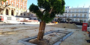 Estado actual de la plaza / FOTO: DBC