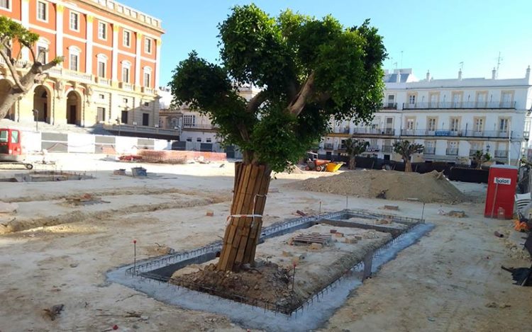 Estado actual de la plaza / FOTO: DBC