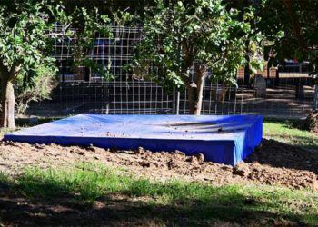 Los restos tapados en su nueva ubicación / FOTO: Eulogio García