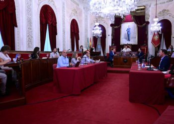 Un momento del pleno extraordinario / FOTO: Eulogio García