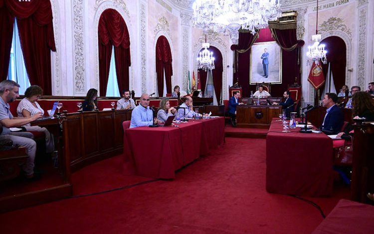 Un momento del pleno extraordinario / FOTO: Eulogio García
