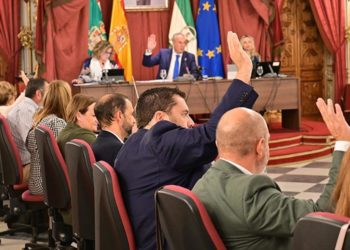 Votando en el pleno de este mes de septiembre / FOTO: Eulogio García