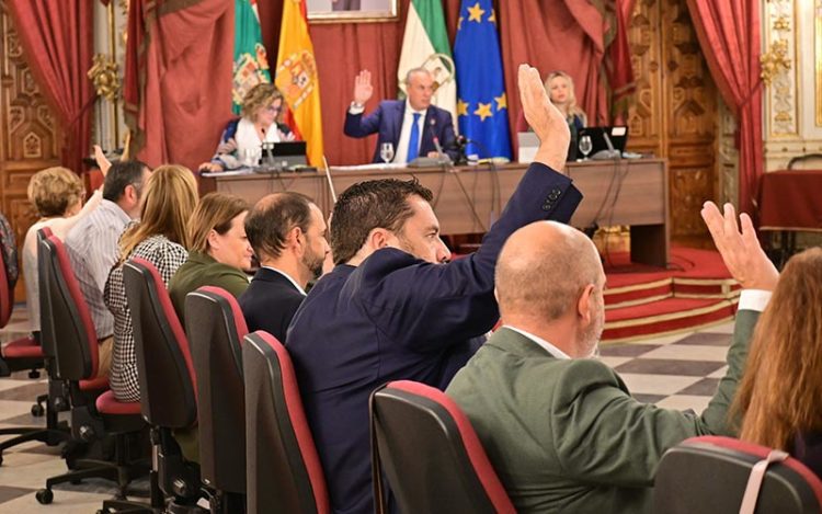 Votando en el pleno de este mes de septiembre / FOTO: Eulogio García