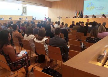 Un momento de la asamblea celebrada en Málaga / FOTO: Ayto.