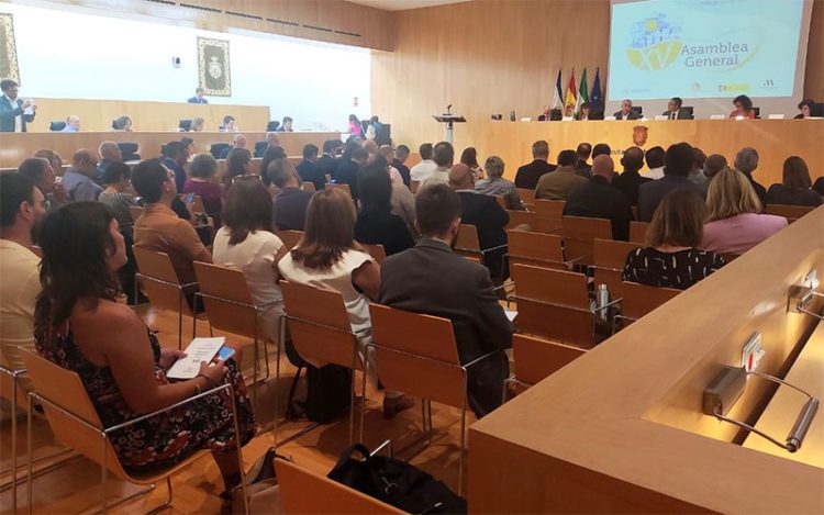 Un momento de la asamblea celebrada en Málaga / FOTO: Ayto.