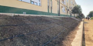 Inicialmente se va a implantar en unos 2.000 m2 / FOTO: Ayto.