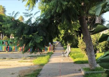 Zona verde asalvajada en el entorno / FOTO: Podemos