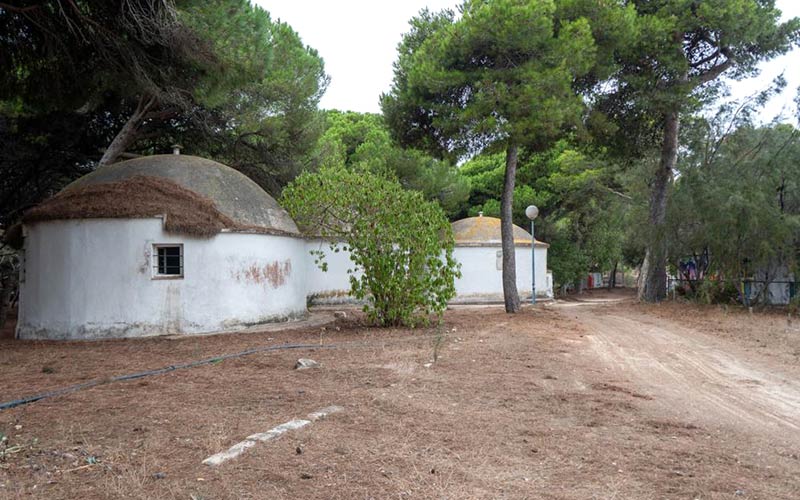 ‘Salen’ siete toneladas de basuras de La Forestal