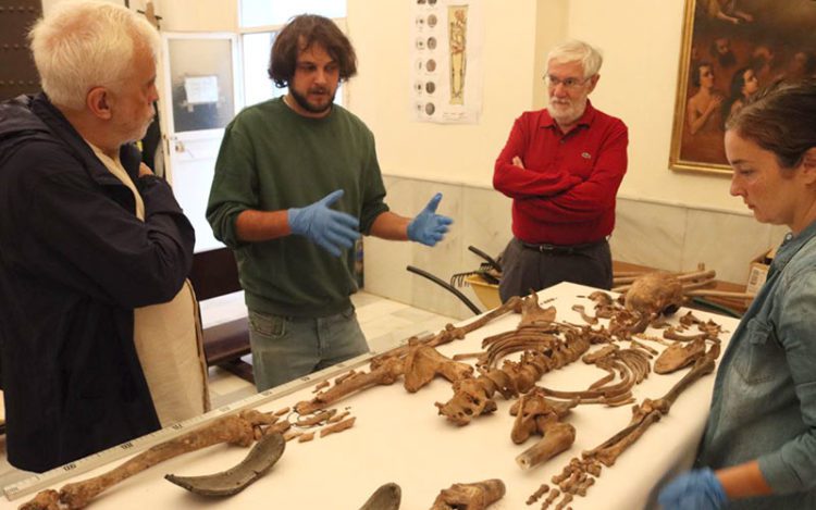 El equipo de investigación explica al familiar sus trabajos / FOTO: Ayto.