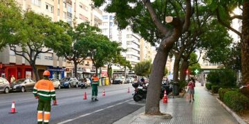 Trabajos preventivos en la avenida / FOTO: Eulogio García