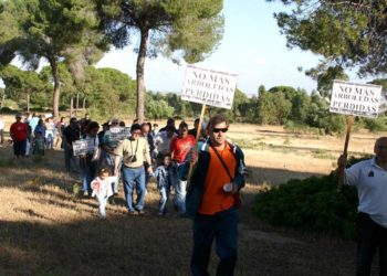 Una pasada acción en defensa del bosque / FOTO: Ecologistas