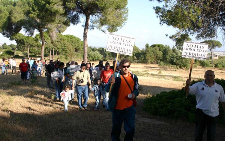 Una pasada acción en defensa del bosque / FOTO: Ecologistas