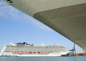 Varios cruceros atracados en Cádiz esta semana / FOTO: APBC