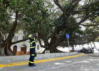 Inspeccionando la copa tras una pasada caída de ramas / FOTO: Eulogio García