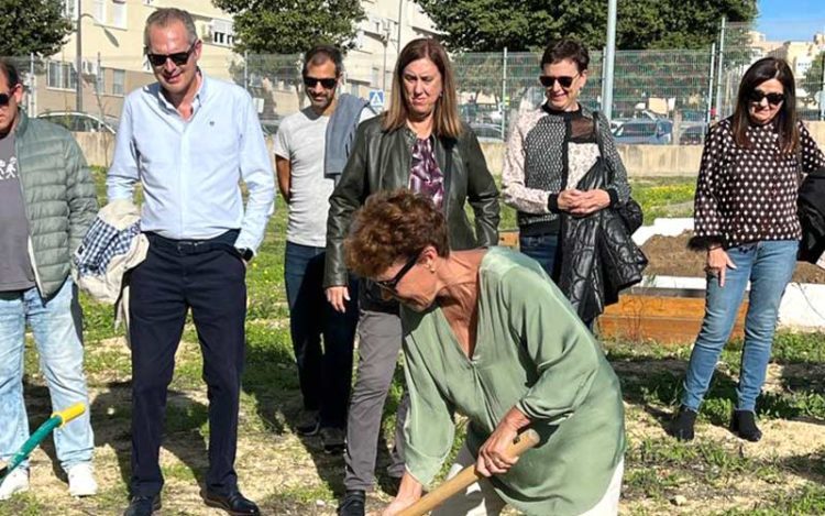 Plantación de ejemplares por parte de los homenajeados / FOTO: cedida