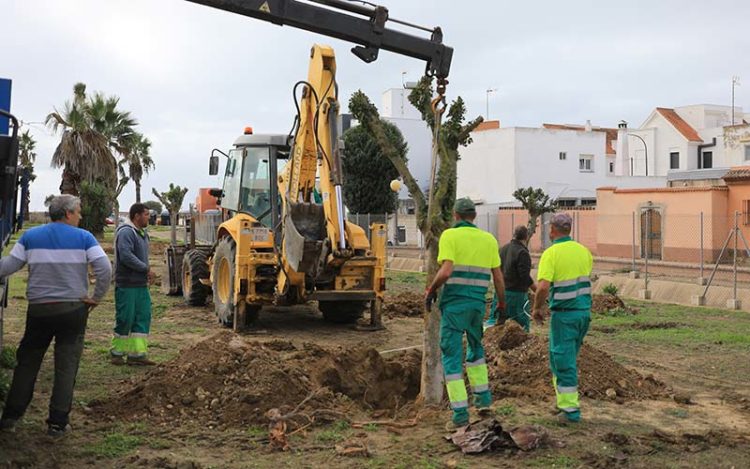 Operarios de jardines en plena faena / FOTO: Ayto.