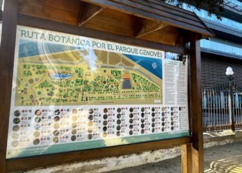 Uno de los dos cartelones que recoge la ruta botánica / FOTO: Ayto.