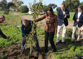 Escenificando la plantación de uno de los ejemplares / FOTO: Ayto.