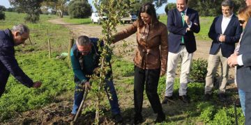 Escenificando la plantación de uno de los ejemplares / FOTO: Ayto.