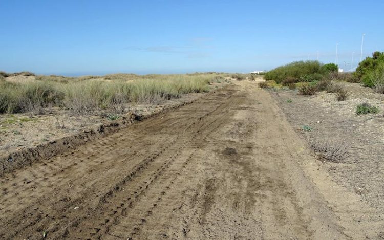 Zona de las dunas tras el paso de las máquinas / FOTO: Agaden
