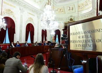 Villero interviniendo en el pleno / FOTO: Eulogio García