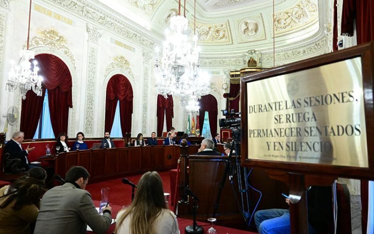 Villero interviniendo en el pleno / FOTO: Eulogio García