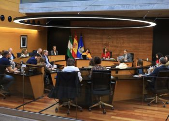 Un momento del pleno extraordinario / FOTO: Ayto.