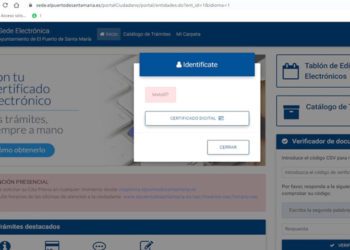 Pantallazo a la problemática sede electrónica