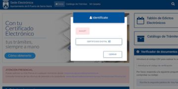Pantallazo a la problemática sede electrónica
