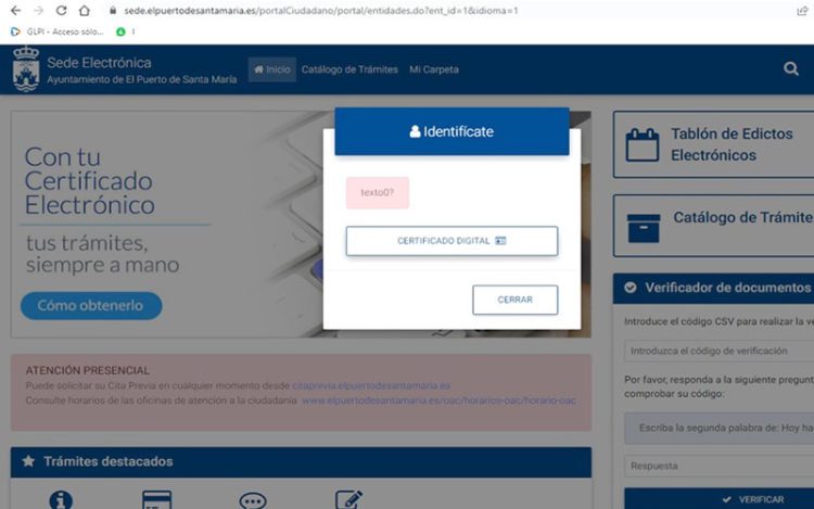 Pantallazo a la problemática sede electrónica