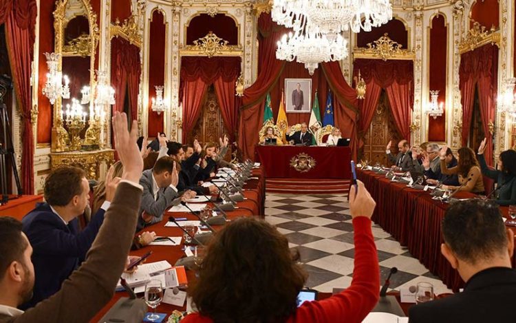 Un momento del pleno, sin el alcalde portuense presente / FOTO: Diputación
